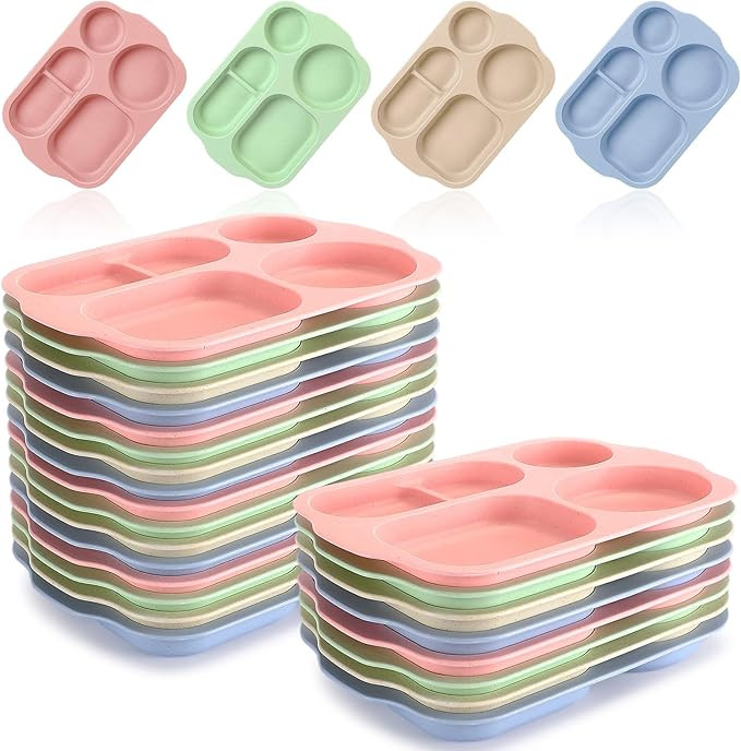 Dandat 24 Pcs 11.8 Inches Wheat Straw Kids Divided Plates Unbreakable Plastic Separated Compartme... | Amazon (US)