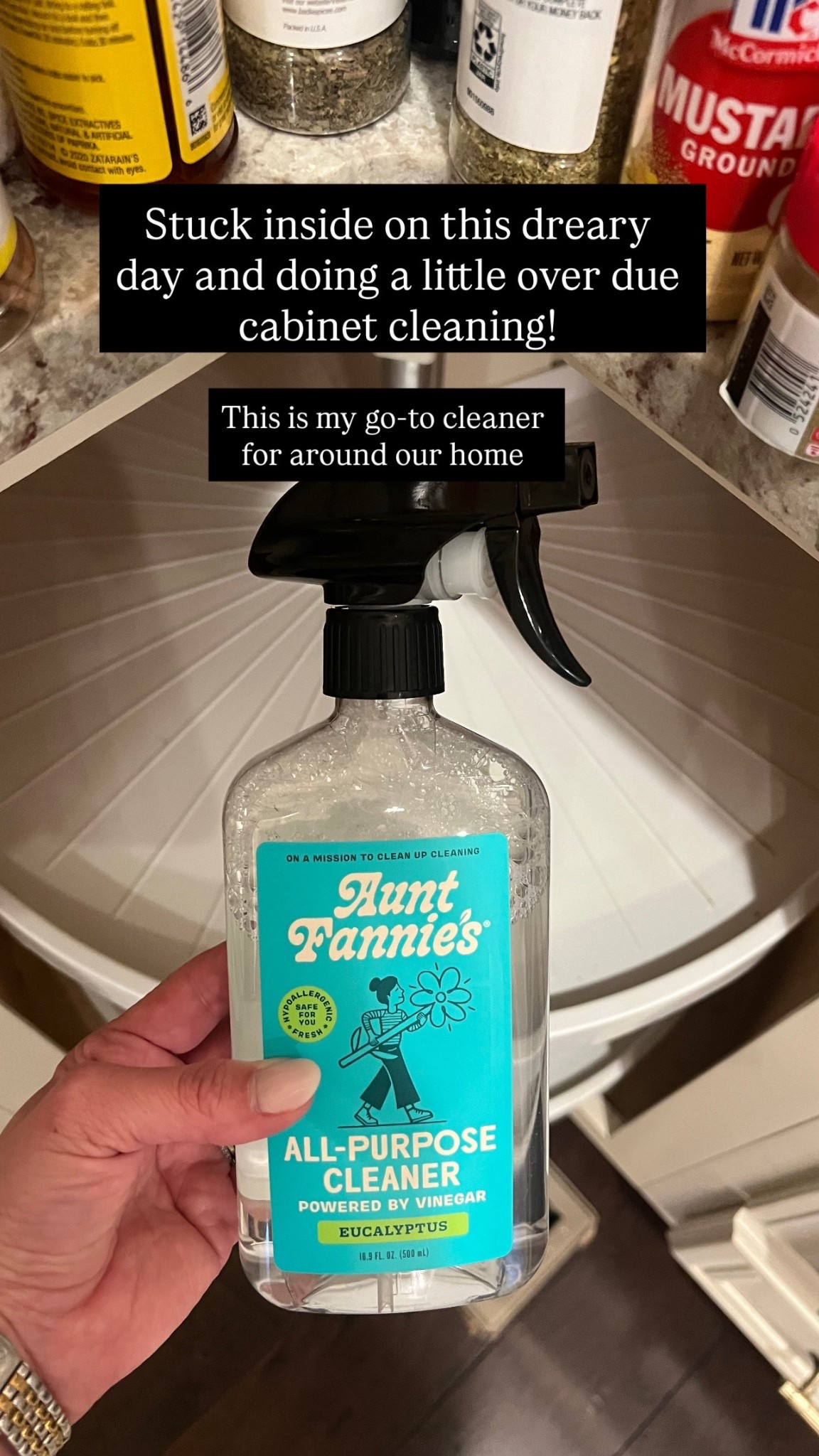 Household cleaner all purpose cleaner 

#LTKmomlife #LTKHome