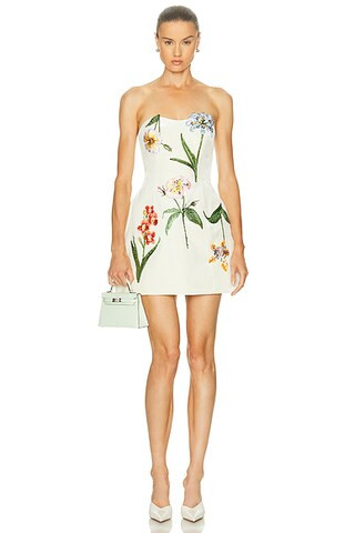 Rosario Velvet Mini Dress | FWRD 