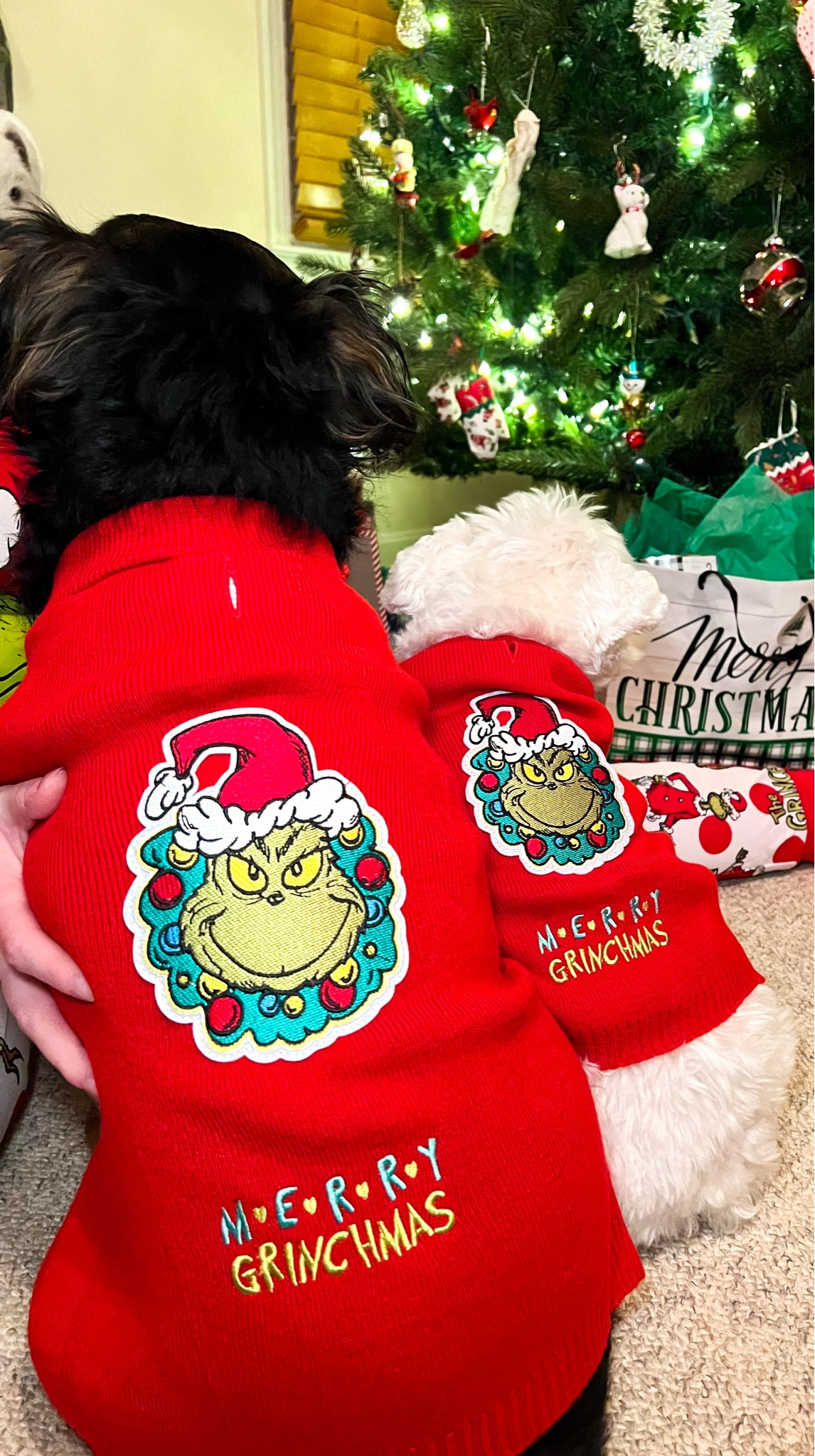 Merry Grinchmas 🎄💚❤️

#LTKSeasonal #LTKfamily #LTKHoliday