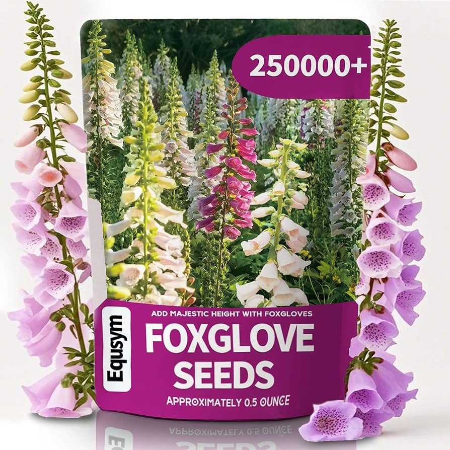 Amazon.com : 250,000+ Foxglove Seeds Bulk Pack - Tall Spire Blooms, Mixed Colors for Garden Borde... | Amazon (US)