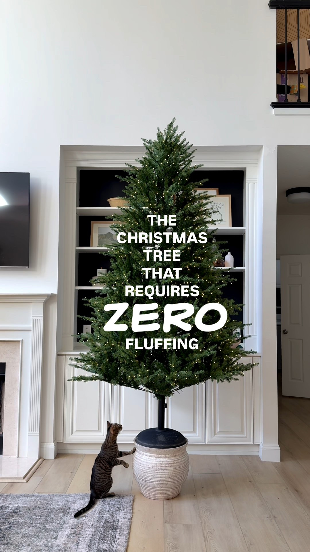 NO MORE FLUFFING! This Christmas tree looked like this straight out of the box!

And the built-in lights (warm white, multicolor, flash, fade + twinkle) and realistic branches make it look designer but with literally zero effort required.

If you want this, don’t wait. It will *absolutely* sell out.



#LTKSeasonal #LTKHome #LTKHoliday