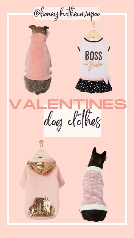 Dog must haves 
Pet favorite 
Valentine 
Dog clothes 

#chewy
#pets #petfinds 

#LTKSeasonal #LTKsalealert #LTKGiftGuide