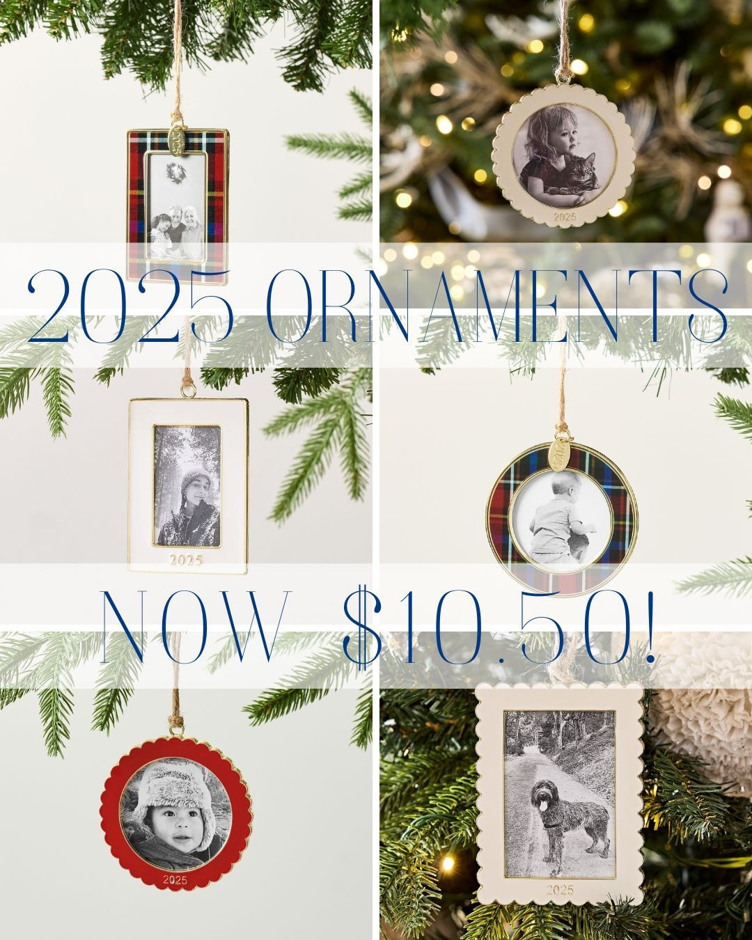 2025 ornaments! 

#LTKSeasonal #LTKHoliday #LTKHome