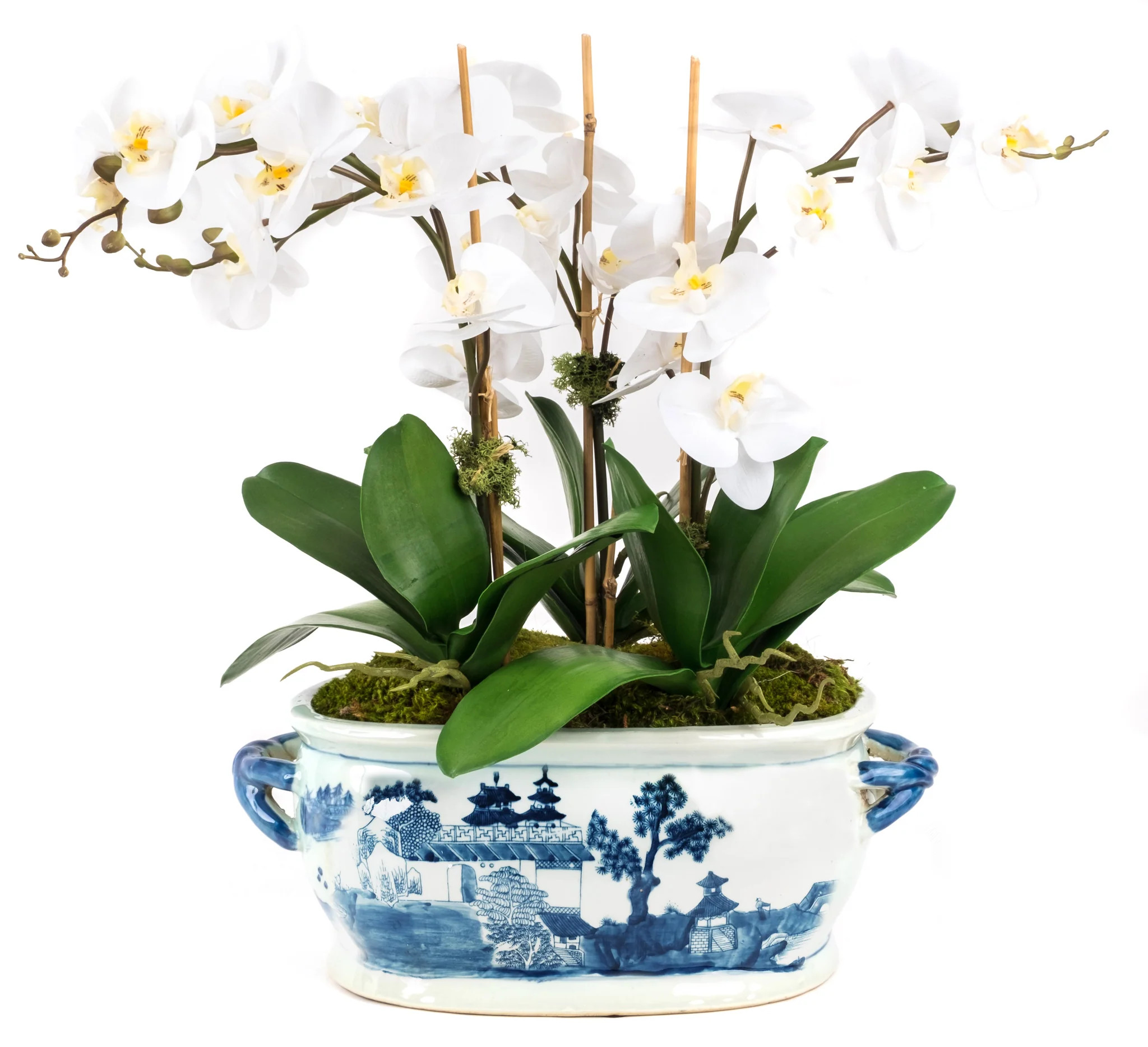 Four Stem White Orchid in Porcelain Oval Fishbowl | The Enchanted Home