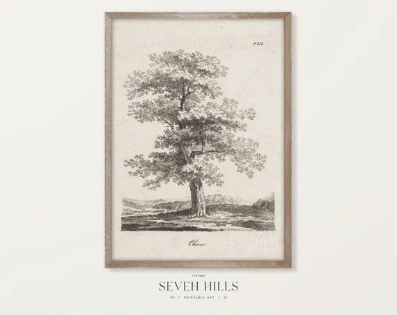 Farmhouse Sketch Print Botanical Vintage Country Wall Art | Etsy | Etsy (US)