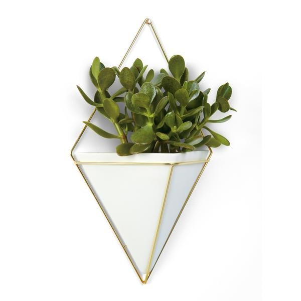 Trigg Large Wall Display | Umbra