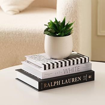 Set of 3 Decorative Books for Home Decor,Stylish Fake Books for Decoration, Aesthetic Decor Books... | Amazon (US)