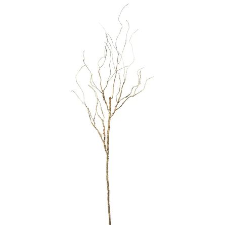 Birch Lane™ Elegance Twig Branch | Birch Lane | Wayfair North America