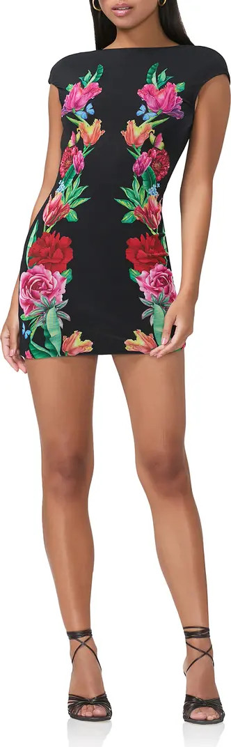 Mabel Printed Cap Sleeve Mesh Minidress | Nordstrom