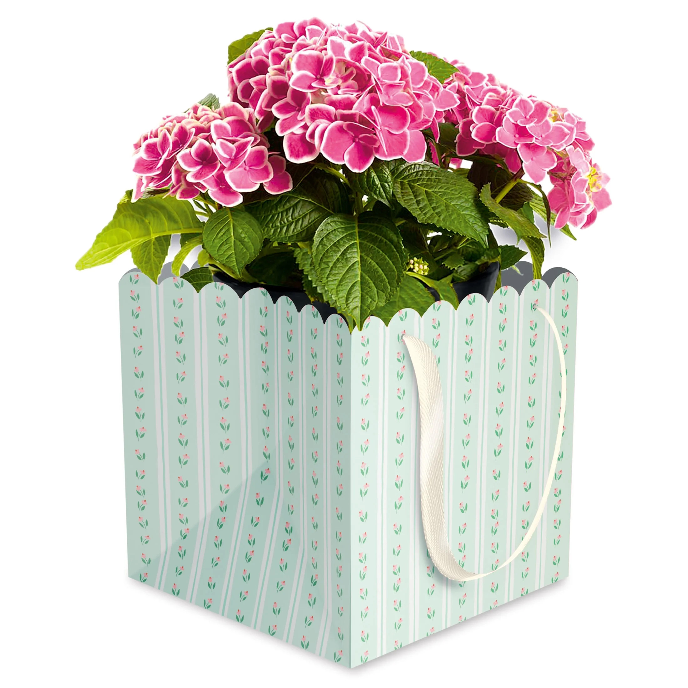 American Greetings 7 in. Mother's Day Flower Pot Gift Bag, Green Floral (1-Count) - Walmart.com | Walmart (US)