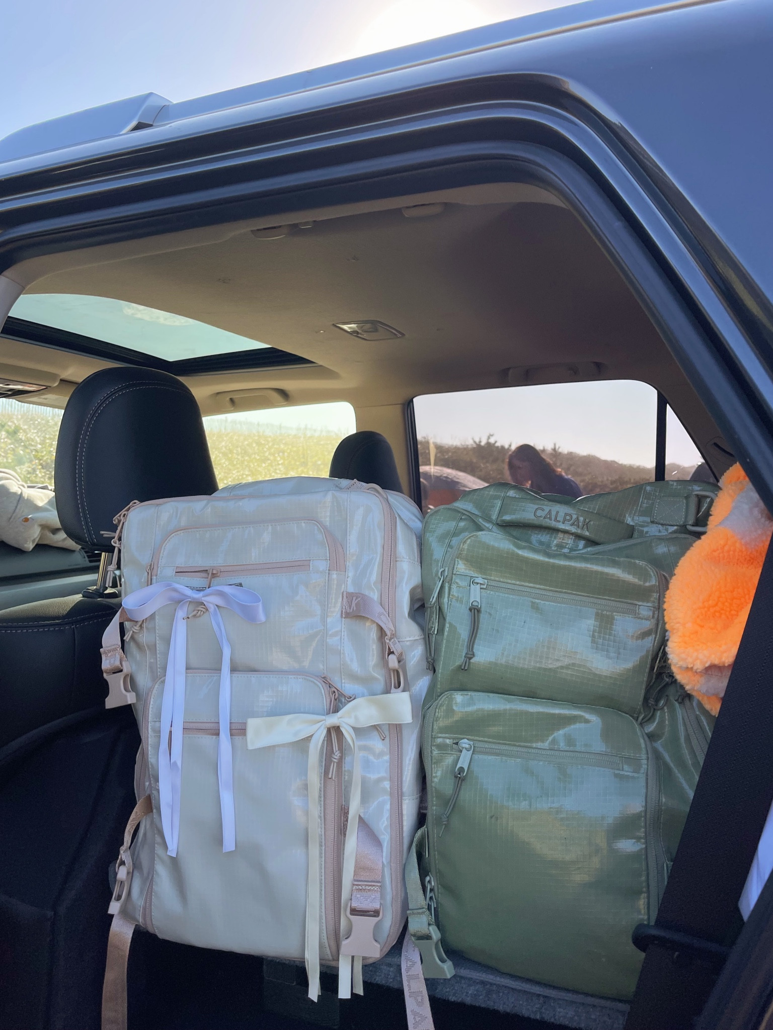 favorite backpacks - so many colors available 

#LTKSeasonal #LTKGiftGuide #LTKHoliday