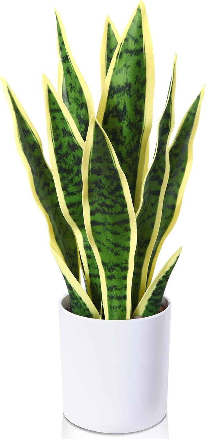 Kazeila Artificial Snake Plant 16 Inch Small Fake Sansevieria Tree,Faux Desk Plant in Pot for Ind... | Amazon (US)