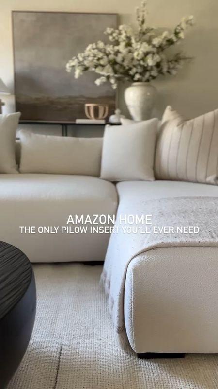 Amazon Bedroom and bedding essentials

#bedroomdecor #cljsquad #amazonhome #organicmodern #homedecortips #bedroomremodel 


#LTKhome #LTKVideo #LTKfindsunder100