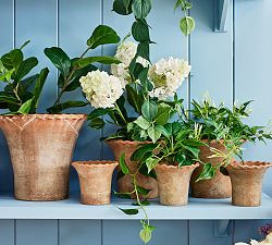 Palermo Planter | Pottery Barn (US)