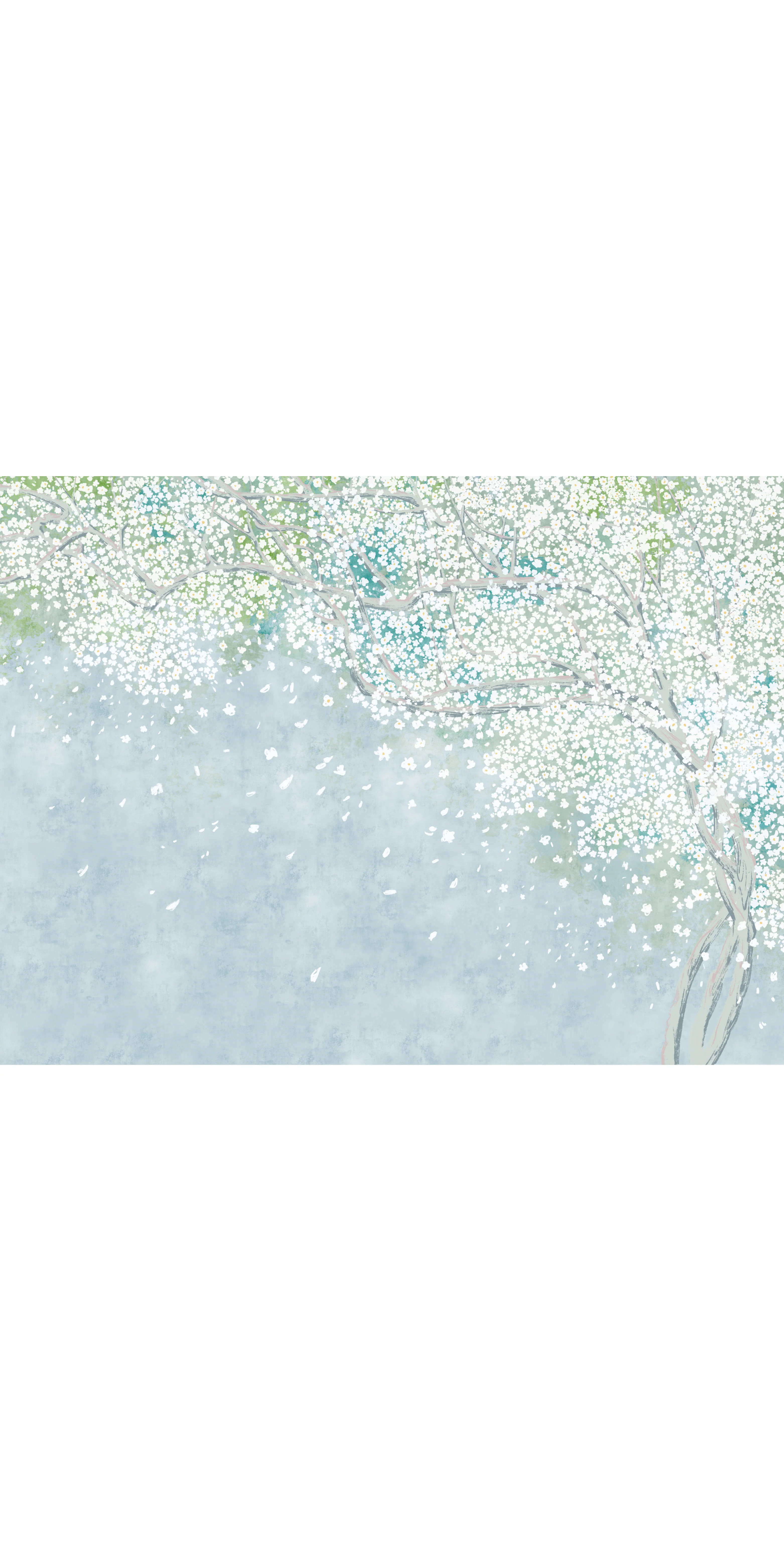 Sakura - Peel and Stick / 9ft High x 12ft Wide / Sky -- BDCECE | Chasing Paper
