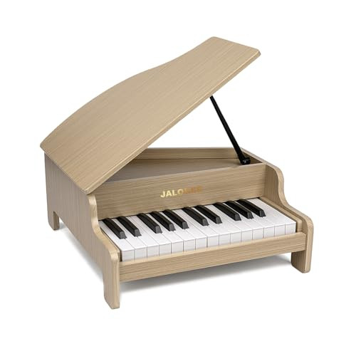 Kids Piano Keyboard, 25 Keys Grand Piano for Kids, Mini Music Educational Instrument Toy, Volume ... | Amazon (US)