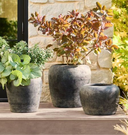 Thinking about getting this planter for my olive tree. I love the texture. 





Rejuvenation, patio and garden, modern organic, 

#LTKhome
