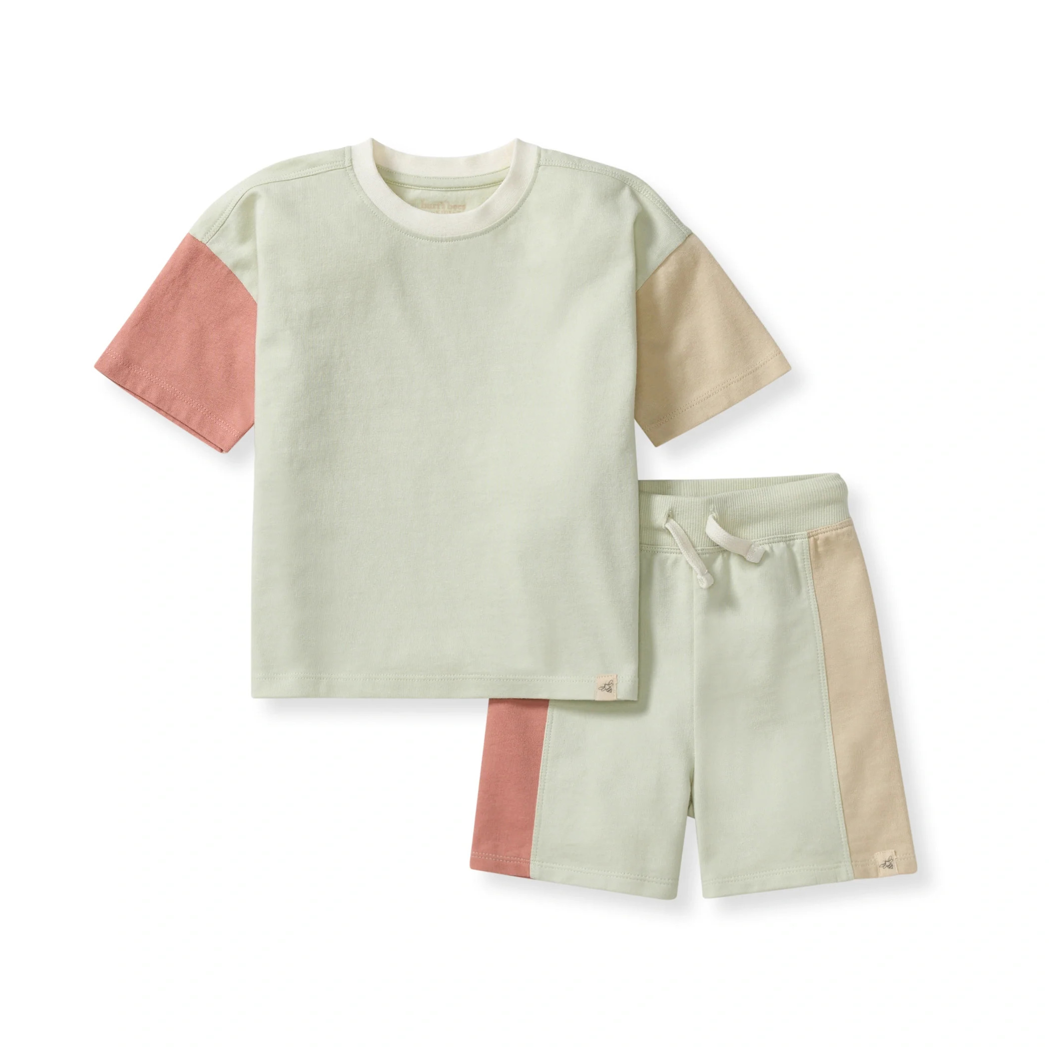 Color Blocked Boy Tee & Shorts Set | Burts Bees Baby