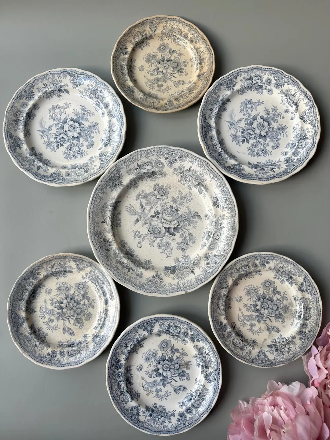 Set of 7 Antique 1890s English Edge Malkin & Co Porcelain Plates / ASIATIC PHEASANTS Pattern / Bl... | Etsy (US)