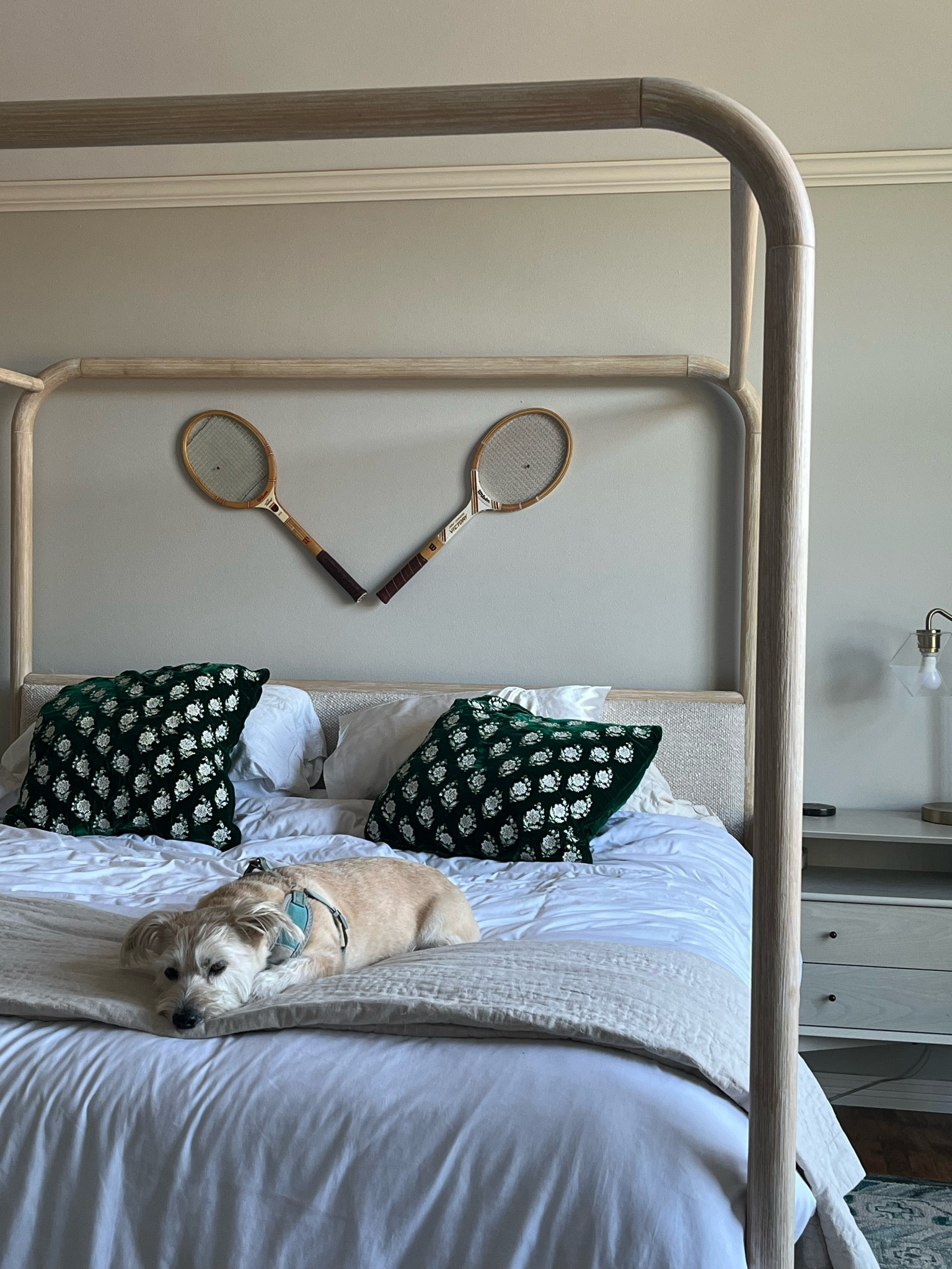 New canopy bed and cozy master set up 

#LTKHome