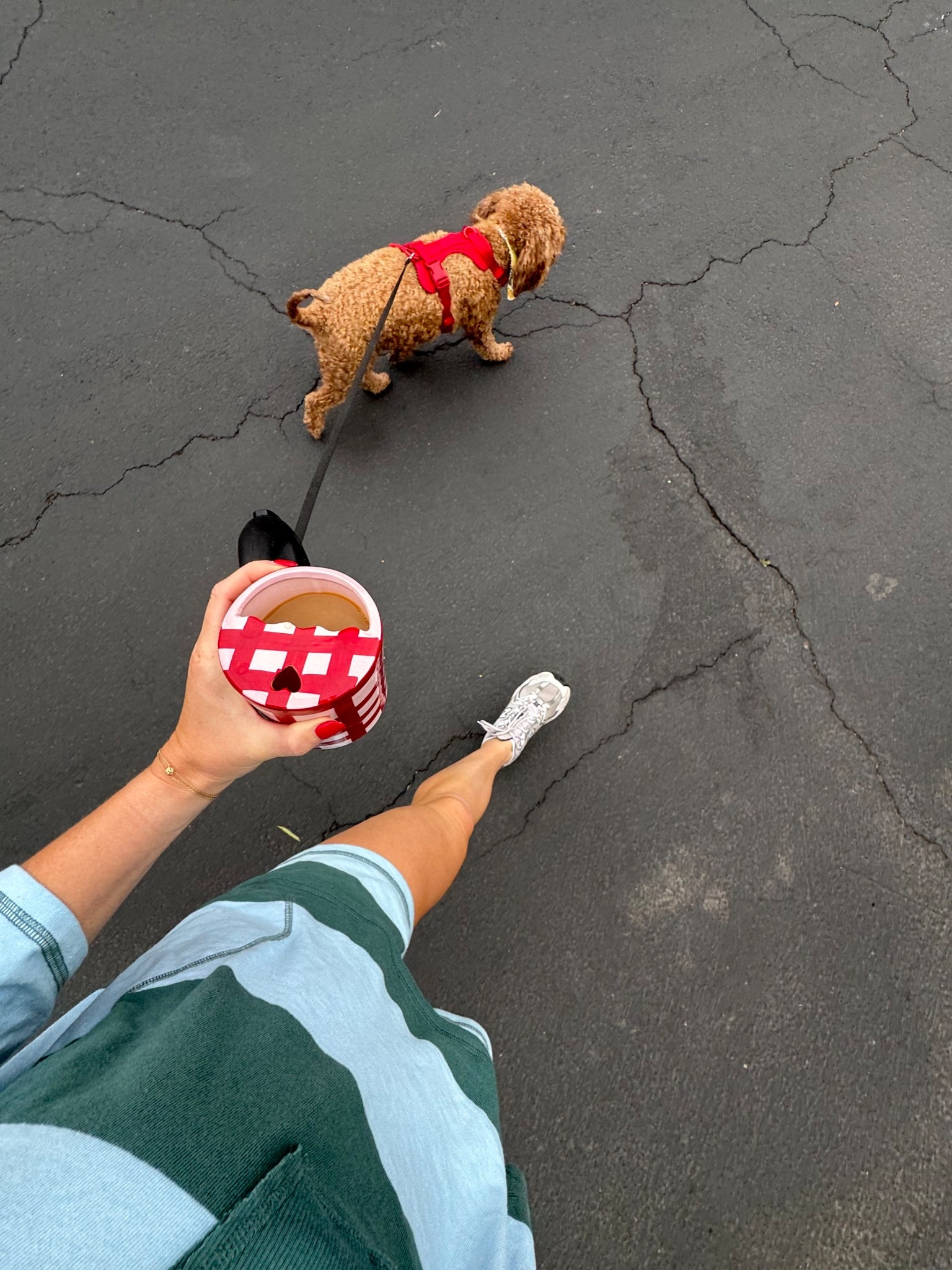 Morning walks! 