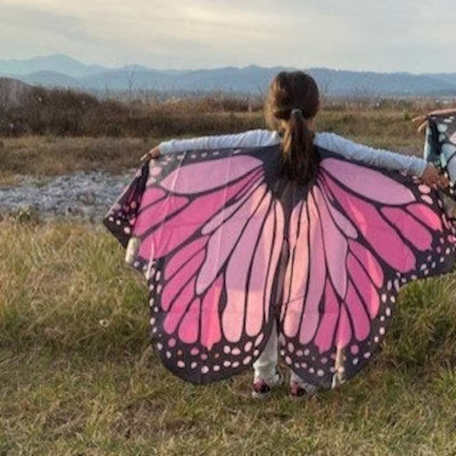 As Buzzfeed Featured Age 5-10 Medium Butterfly Wings - Etsy | Etsy (US)