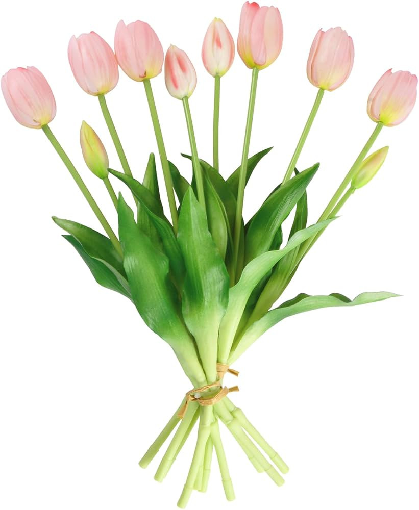 Real Touch Tulips Artificial Flowers, 10 Pcs Faux Tulips Flower Blush Pink Tulips Fake Tulip Flow... | Amazon (US)