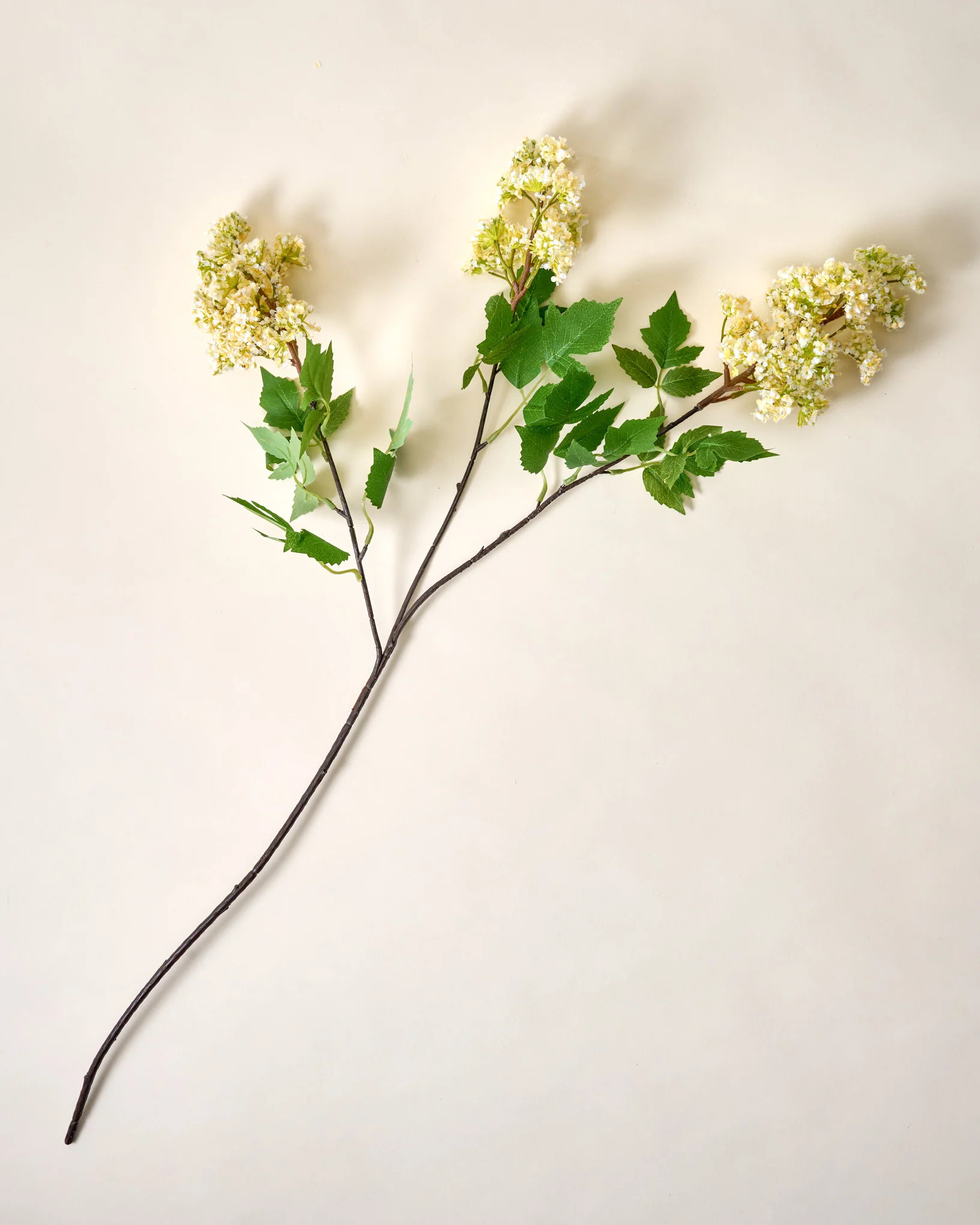 Crepe Myrtle Spray | Magnolia