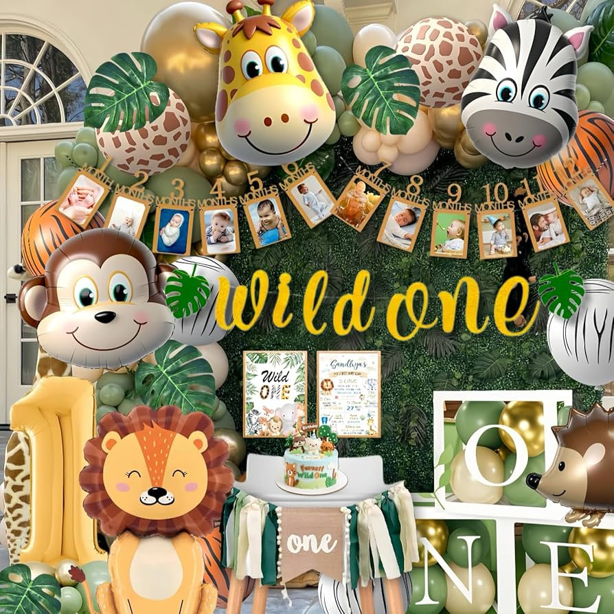 Wild One Birthday Decorations, 1st Birthday Decorations for Boy or Girl, Photo Banner, Balloon Bo... | Amazon (US)