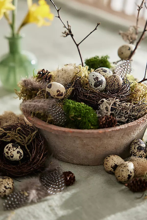 DIY Mossy Nest Kit | Terrain