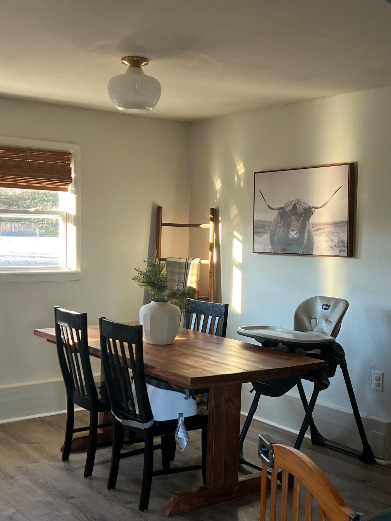 $50 Home Depot light fixture! Midcentury  modern light, dining room light, dining room 