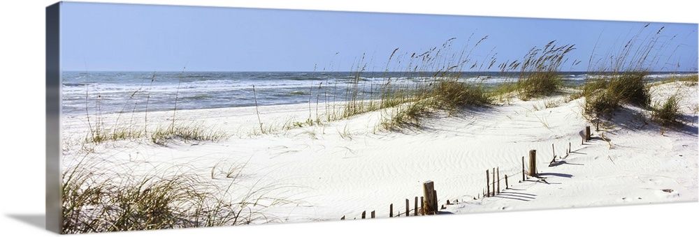 Tall grass on the beach, Gulf Islands National Seashore, Pensacola, Florida II Wall Art | Great Big Canvas - Dynamic