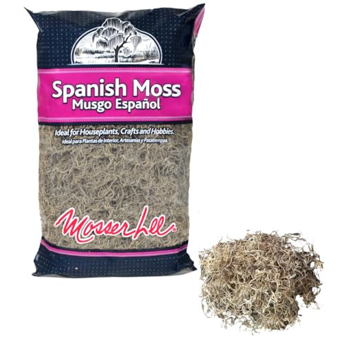Mosser Lee Spanish Moss – Natural Decorative Moss for Houseplants, Soil Cover, Crafts, Terrariums & Floral Arrangements - 400 Cubic Inches | Amazon (US)