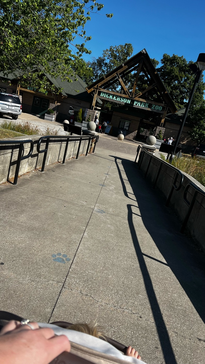 Wild day at the zoo with my little explorer 🦒🐒🐘 Matching his excitement with comfy mom style that’s perfect for chasing toddlers + adventure days. 

#LTKFamily #LTKMidsize #LTKActive