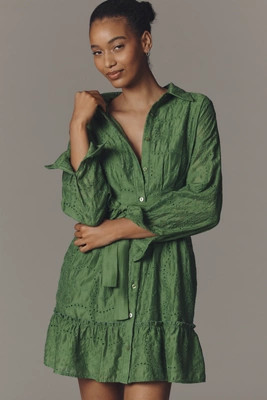 Greylin Tabitha Long-Sleeve Embroidered Mini Dress | Anthropologie (US)