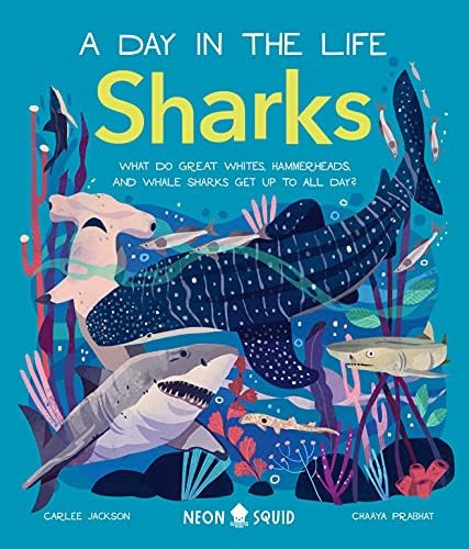 Sharks (A Day in the Life): What Do Great Whites, Hammerheads, and Whale Sharks Get Up To All Day? | Amazon (US)