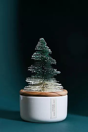 Frosted Bottle Brush Tree Candle | Anthropologie (US)