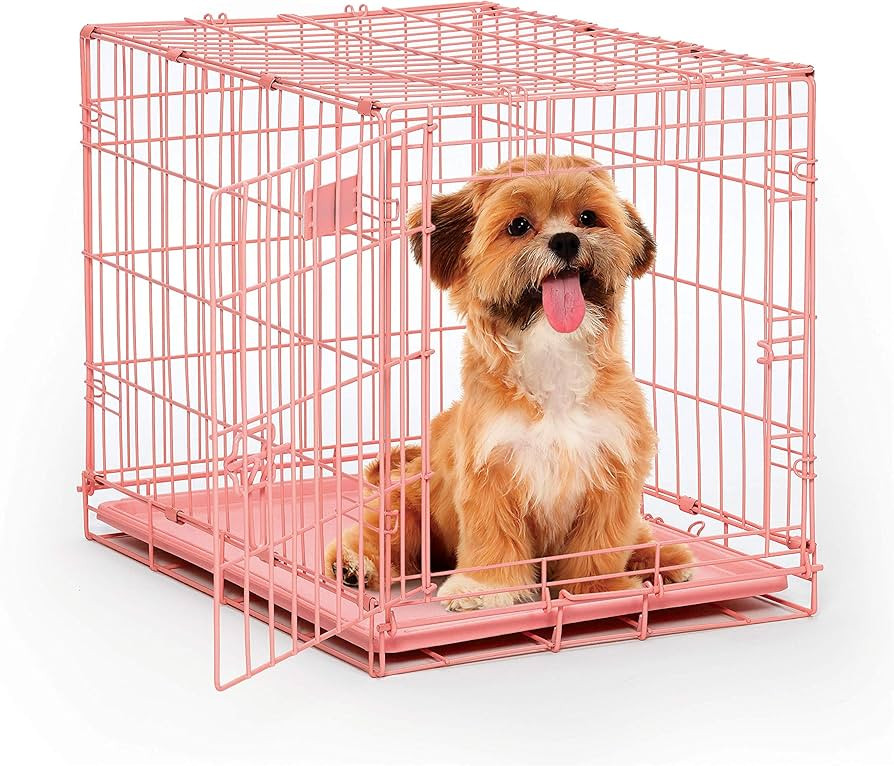 MidWest Homes for Pets Single Door iCrate 24" Pink Folding Metal Dog Crate w/ Divider Panel, Floo... | Amazon (US)