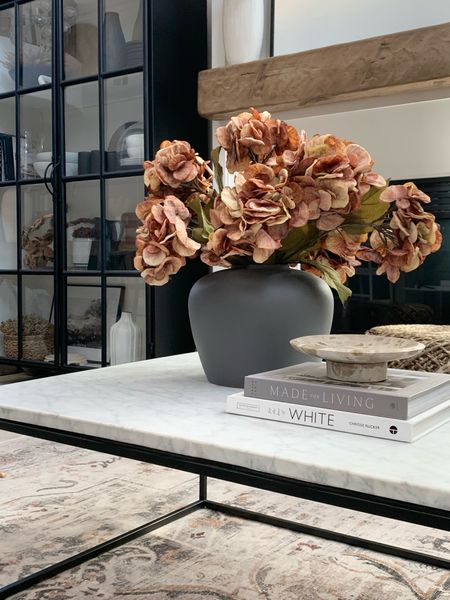 Fall florals 

Just added these fall hydrangea’s to my living room coffee table 

#LTKunder50 #LTKhome #LTKunder100