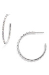 Click for more info about Kendra Scott Veronica Hoop Earrings | Nordstrom