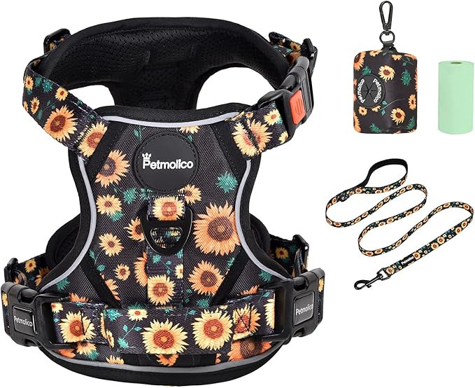 Petmolico No Pull Dog Harness Set, 2 Leash Attchment Easy Control Handle Reflective Vest Dog Harn... | Amazon (US)