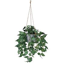 Hanging Plant Artificial Hanging Plants, 2ft Fake Hanging Plants, Faux Hanging Plant with Pot for Wa | Amazon (US)