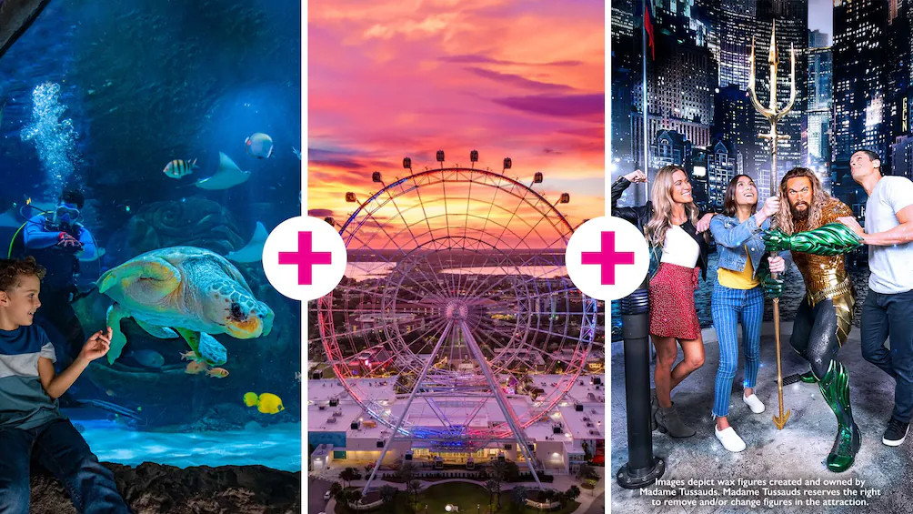 Icon Park: SEA LIFE Aquarium, Madame Tussauds or The Orlando Eye Options | Expedia (US)