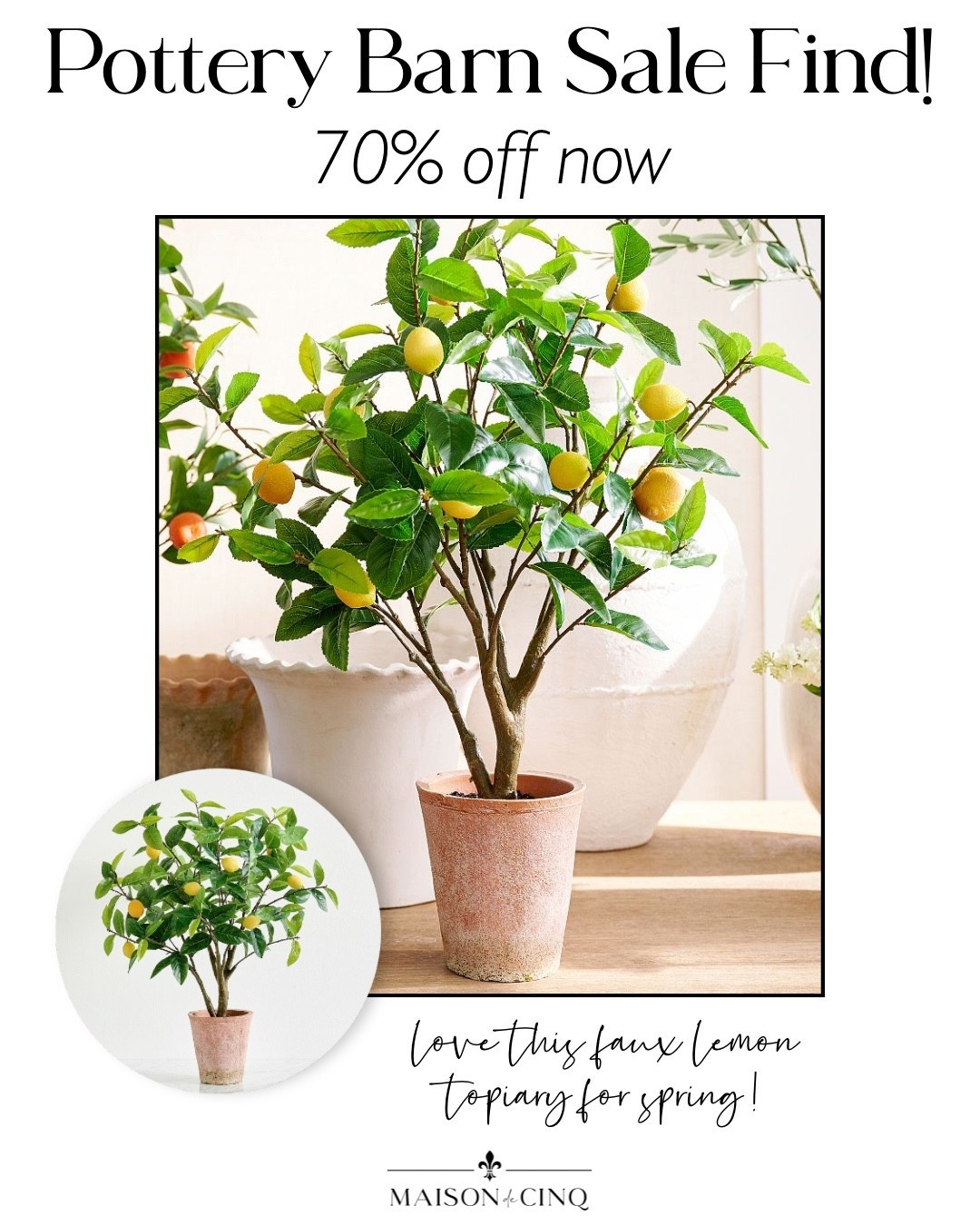 This darling lemon topiary is down from $129 to $37!!! And incredible 70% off! Snag it now before it’s gone

Spring refresh, springdecor, home decor, faux plants, faux flowers 

#LTKHome #LTKSaleAlert