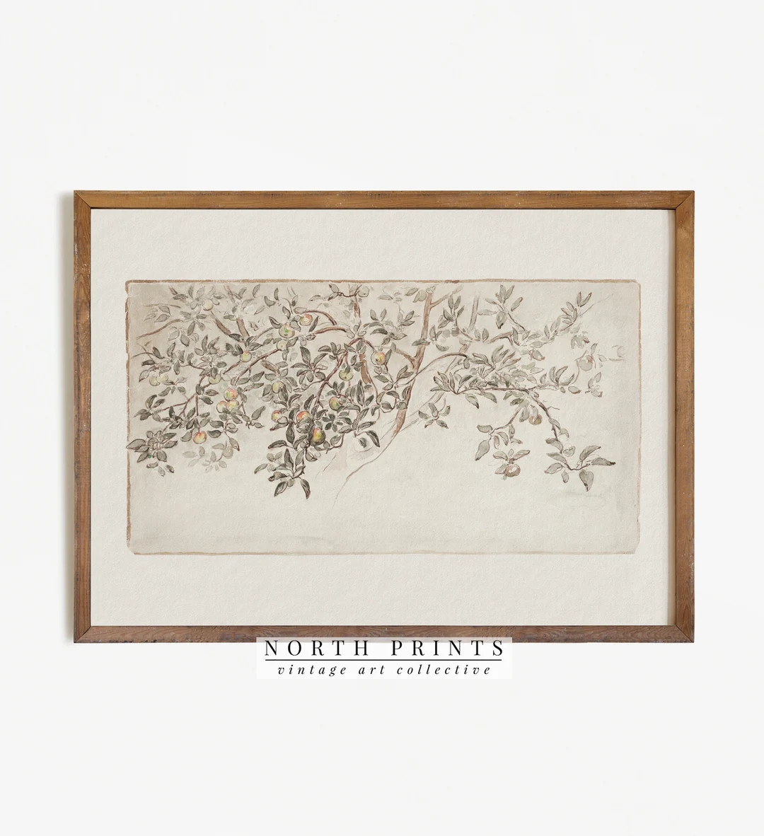 Vintage Apple Tree Sketch | Antique Botanical Drawing | Rustic Country Art Print Digital PRINTABL... | Etsy (US)