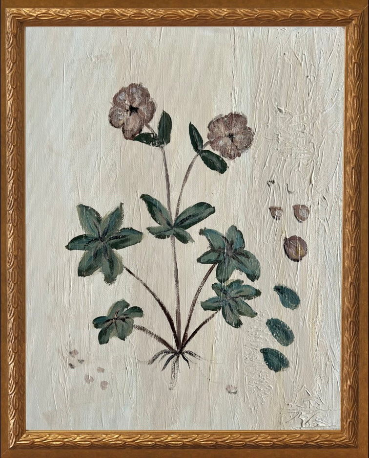 Botanical Studies - Lenton Rose (Hellebore) | JSH Home Essentials