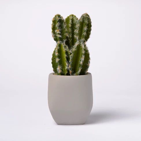 Artificial Cactus in Cement Pot - Lloyd & Hannah | Target