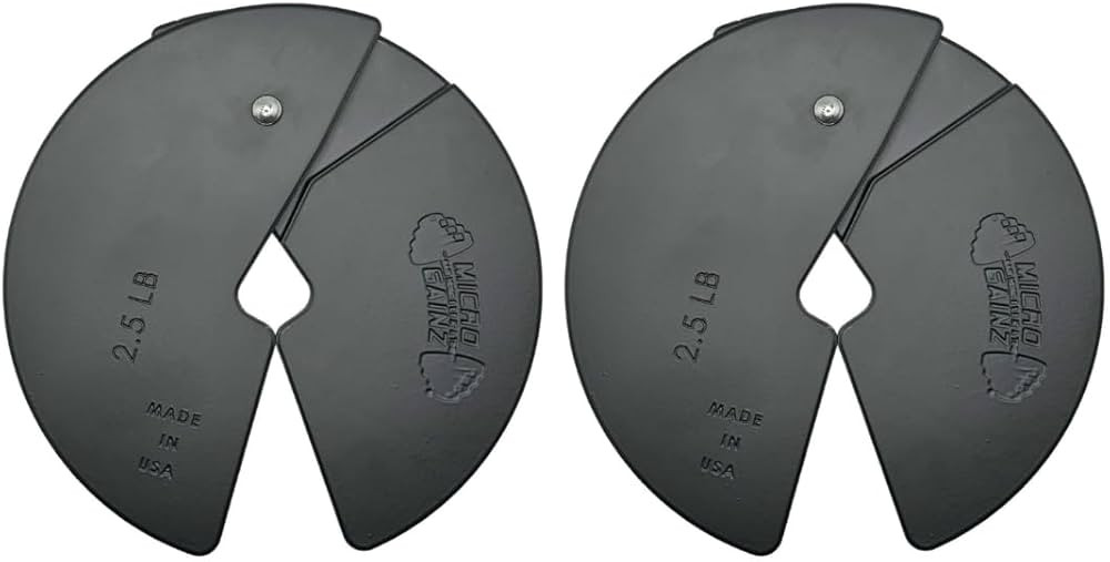 Micro Gainz Dumbbell Fractional 2.5 lb Weight Plate, Ideal for Micro Loading, Choose 2 or 4 Piece... | Amazon (US)