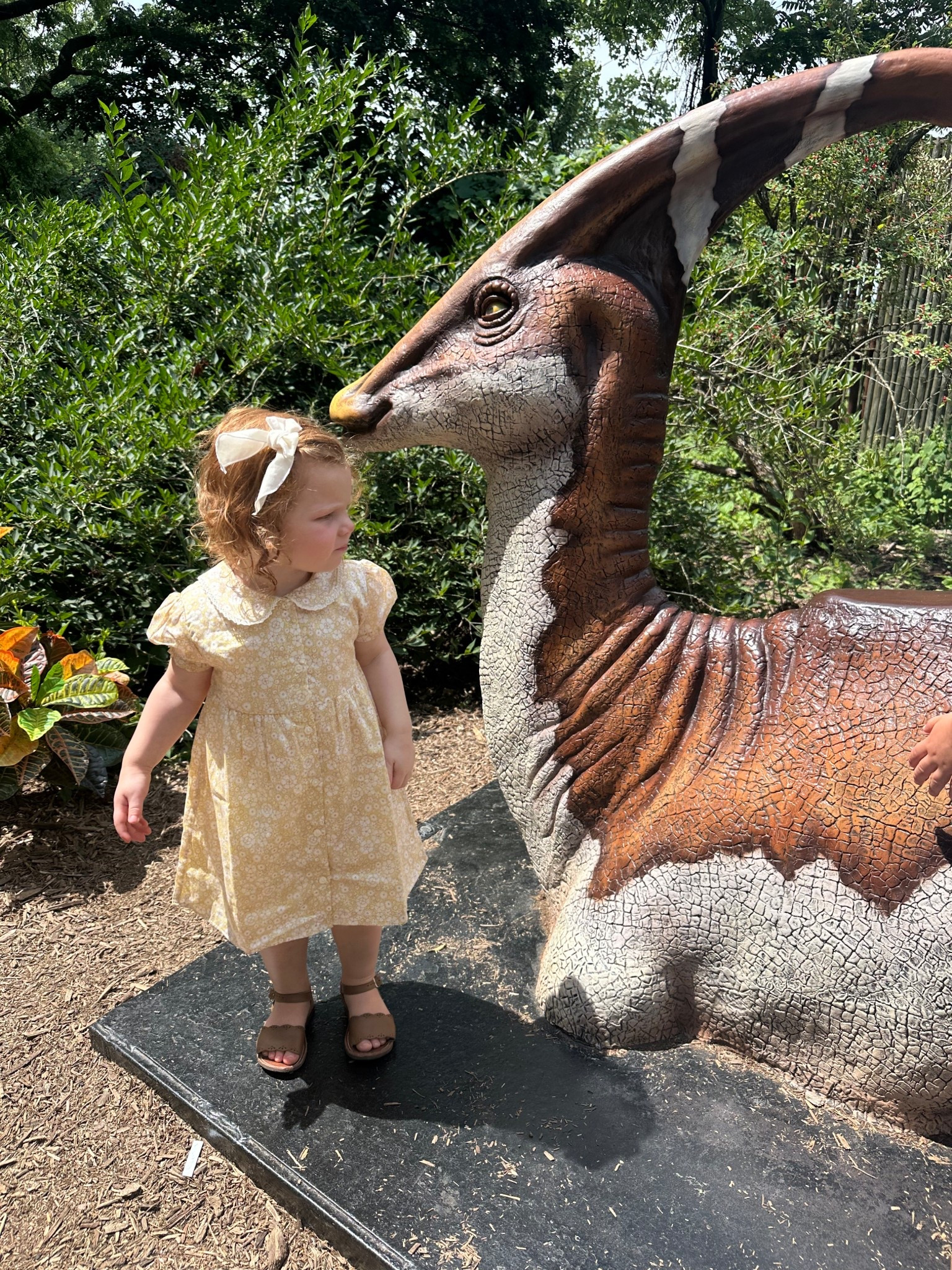 adorable and affordable 100% cotton dresses for girls on amazon🌼